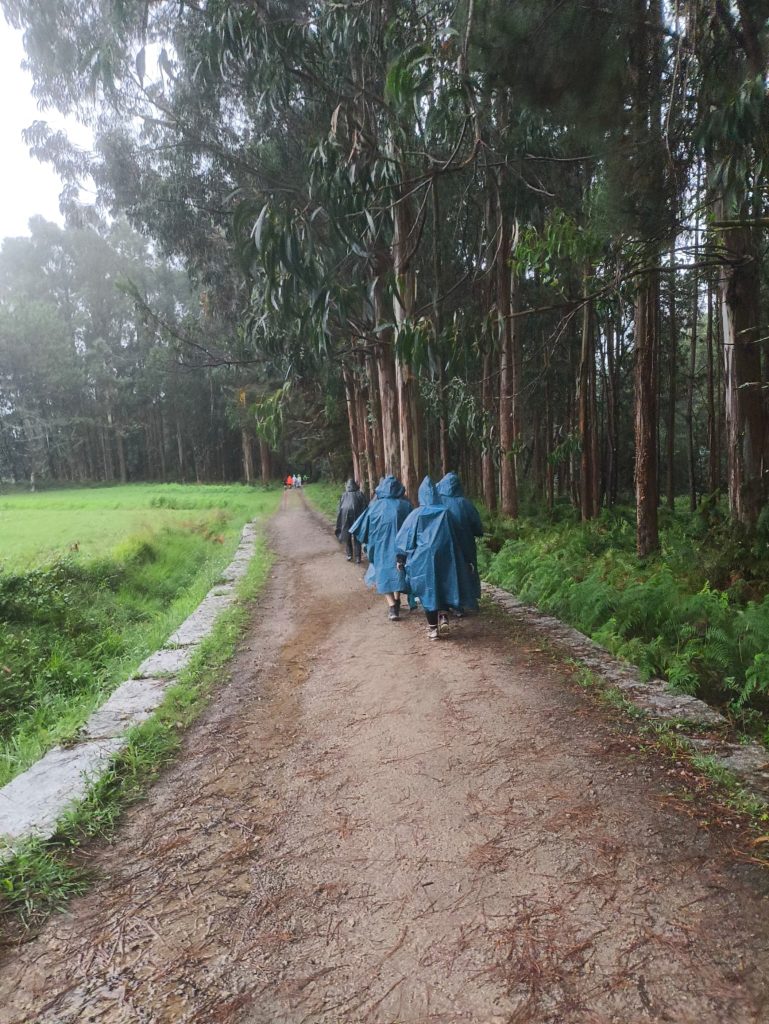 PHOTO 2025 09 10 16 25 23